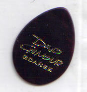 David Gilmour Gdansk Special Edition Plectrum