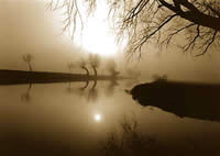 Scenic view of Grantchester Meadows