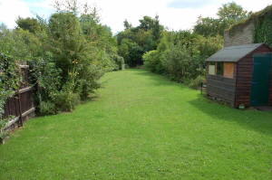 View of rear garden