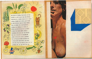 Fart Enjoy by Syd Barrett Missing Page for Legal Reasons!