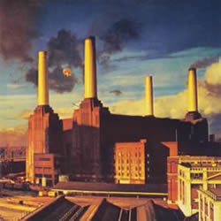 Pink Floyd Animals album cover