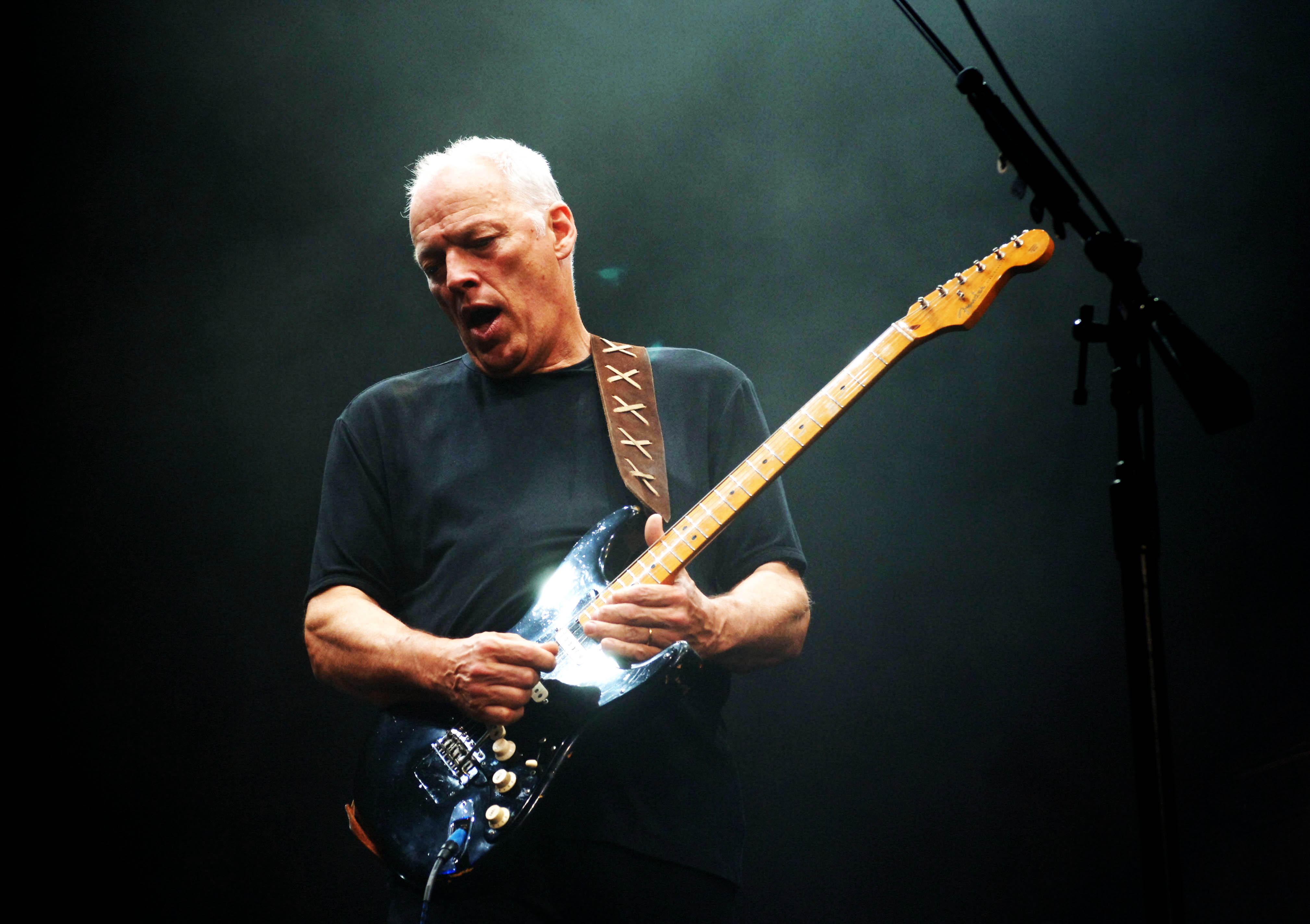 David Gilmour Live