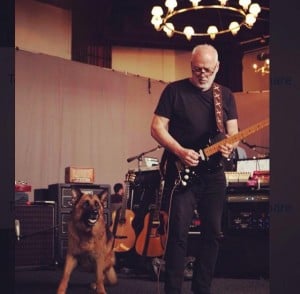 David Gilmour Tour Rehearsals