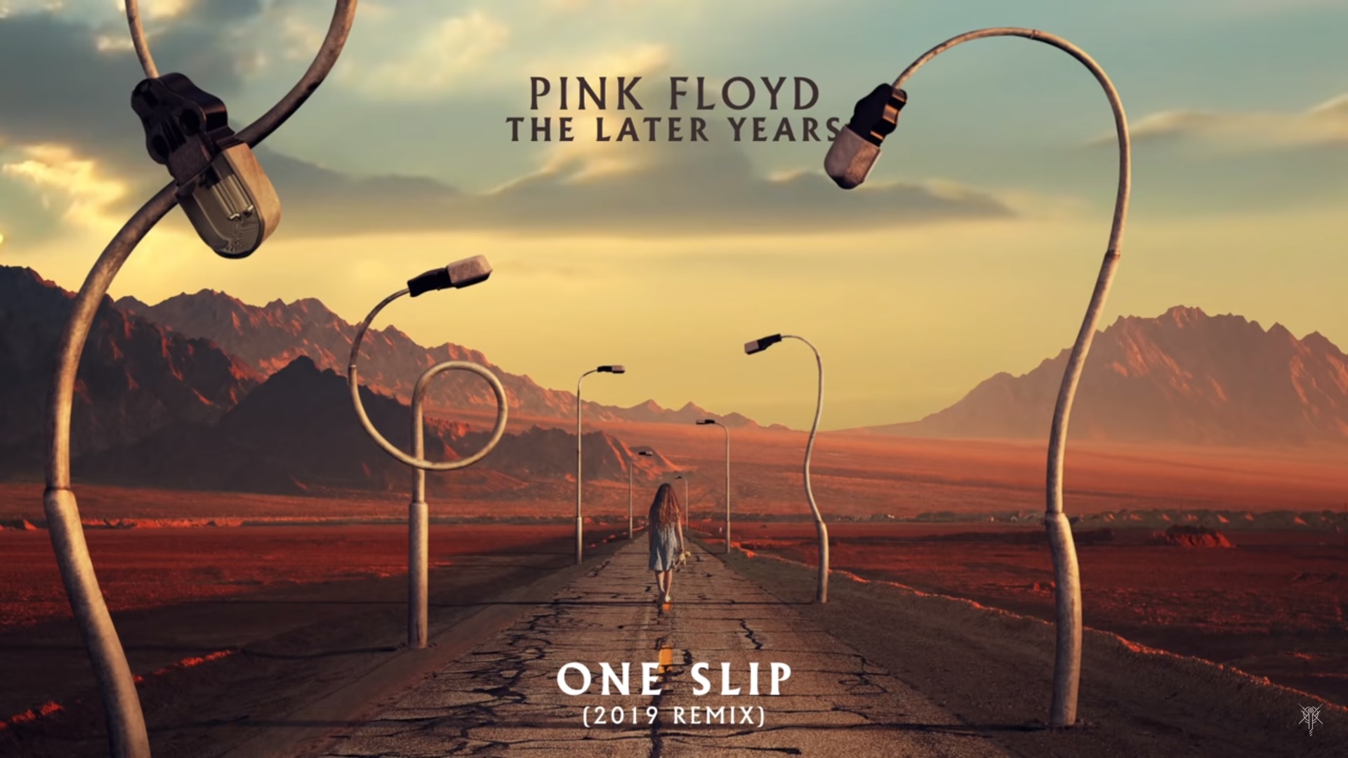 Pink Floyd Later Years Box Set - One Slip