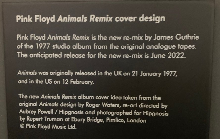 Animals Release Date June 2022