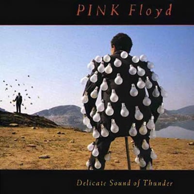 1988 Delicate Sound of Thunder Album Cover
