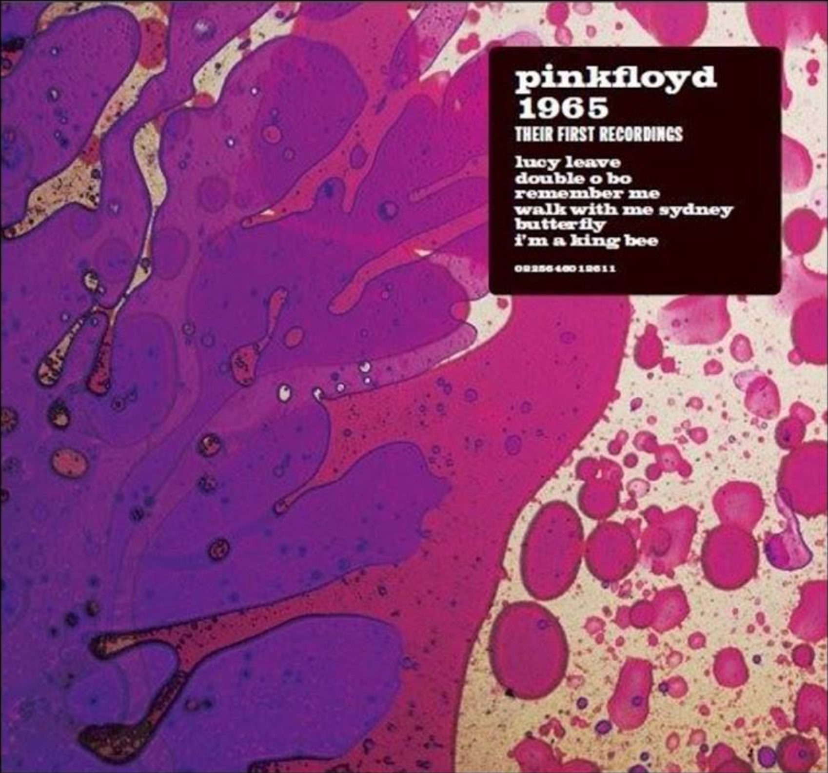Pink Floyd 1965 Their First Recordings