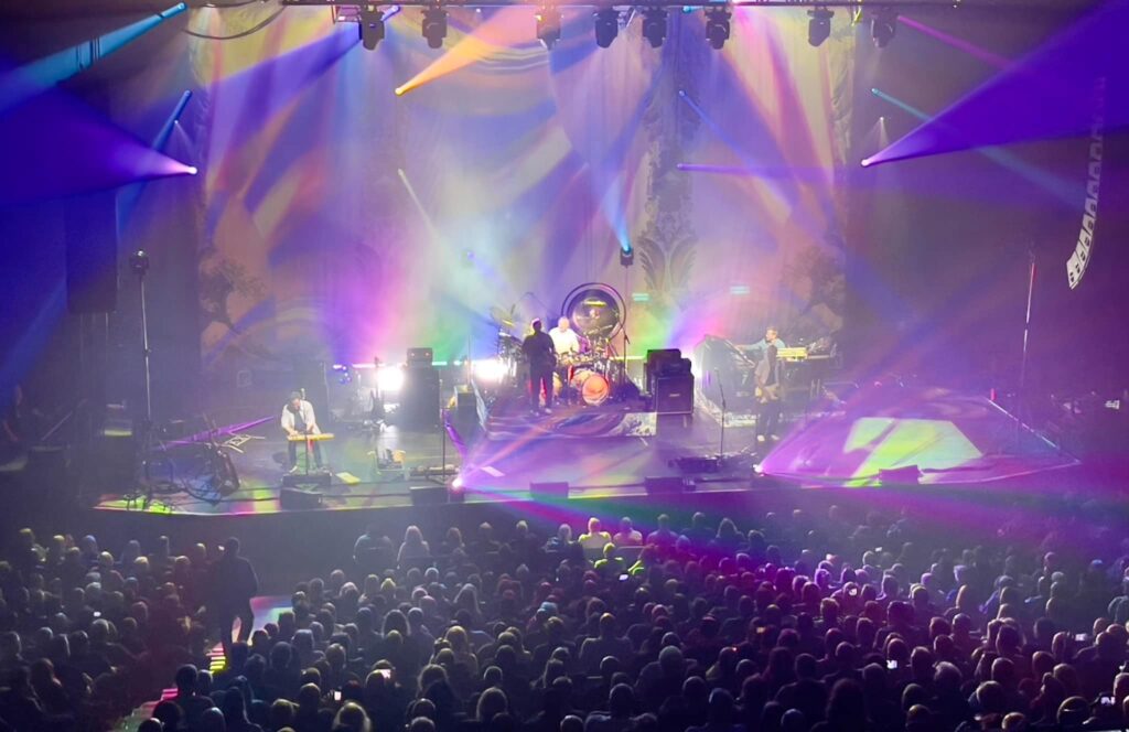 Saucerful of Secrets audience shot