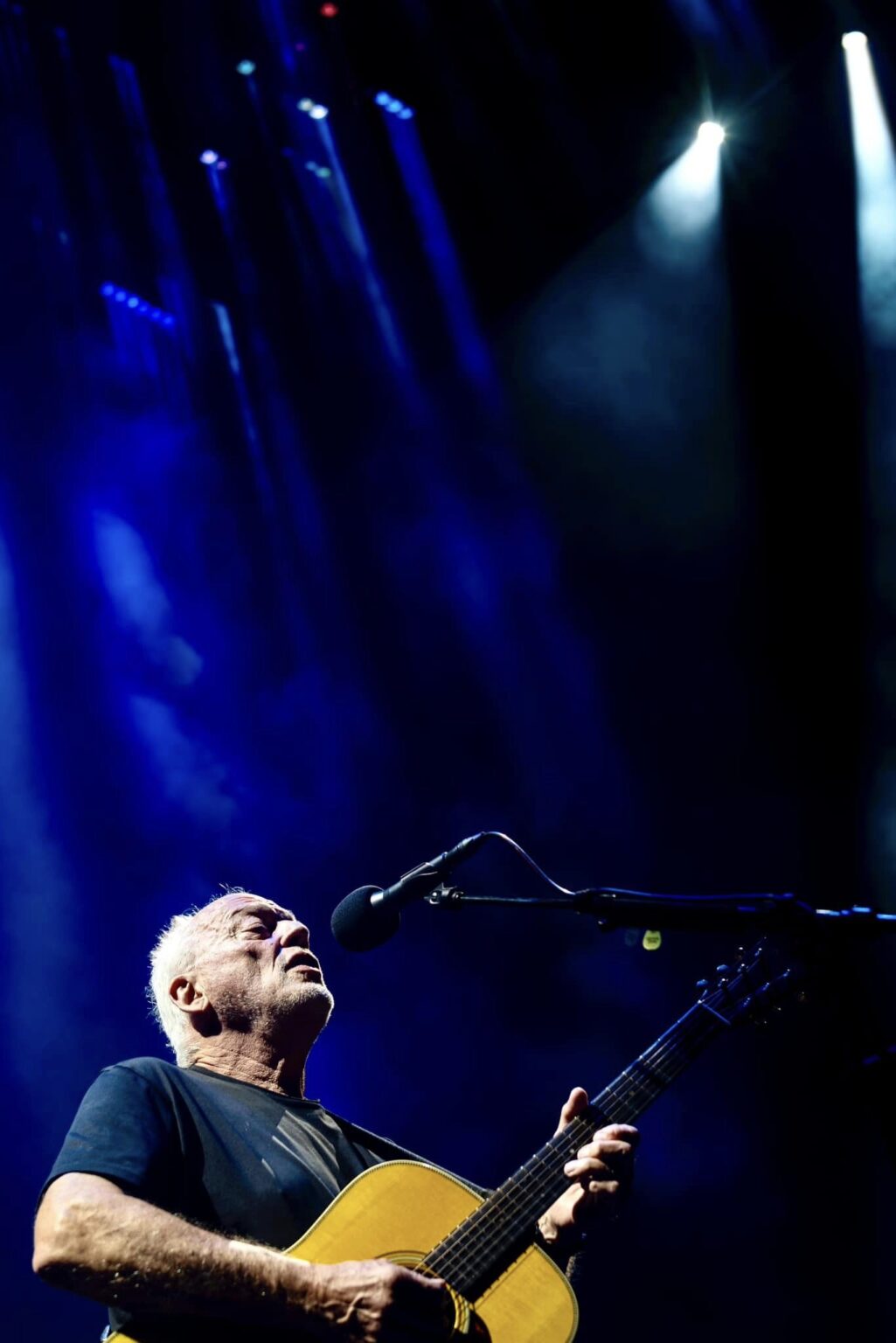 David Gilmour Tour 2024/2025