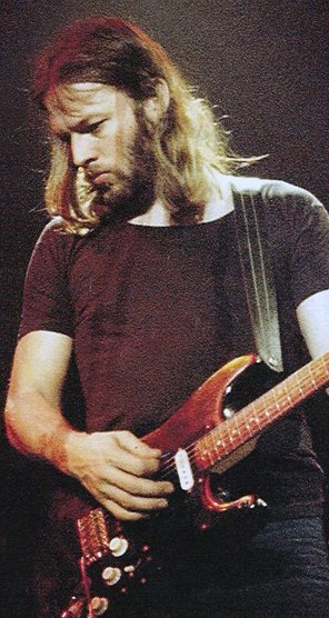 1977 David Gilmour European Animals In The Flesh Tour 1977