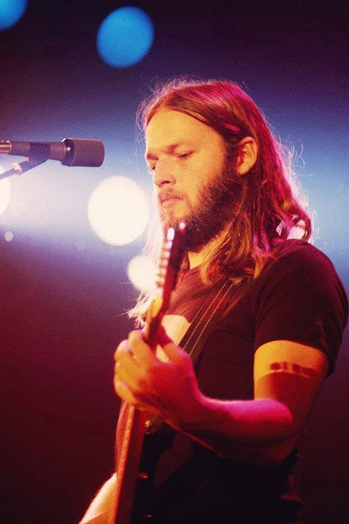 1977 David Gilmour, European Animals Tour 1977