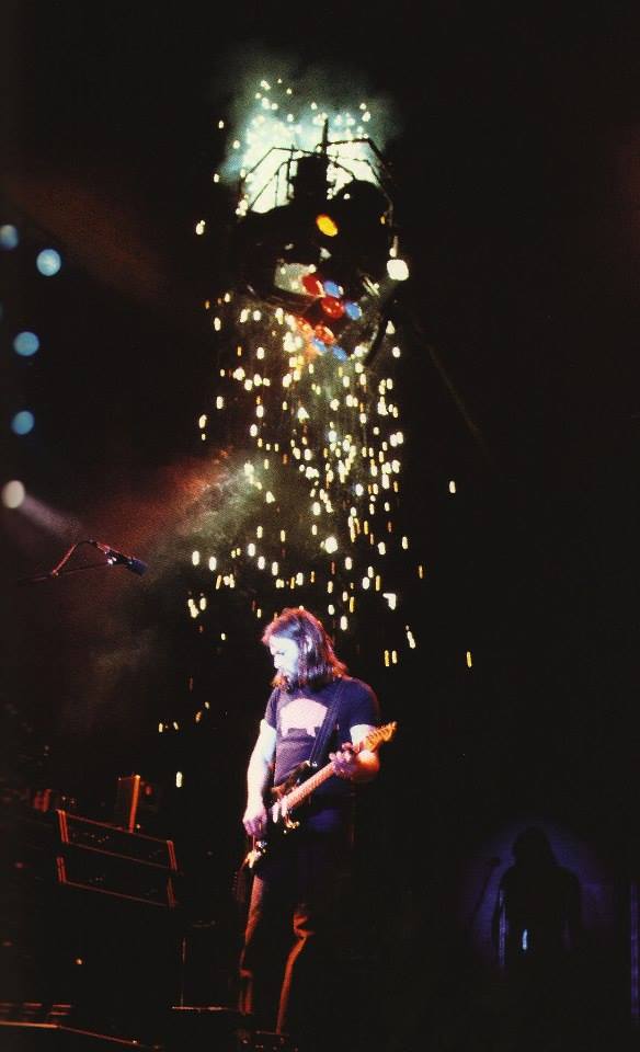 1977 David during Sheep, European Animals In The Flesh Tour 1977