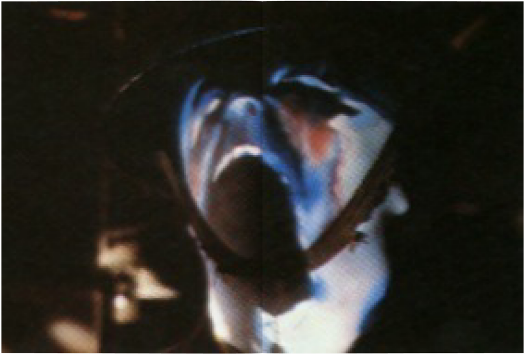 1982 Pink Floyd The Wall Movie Book pg12-13