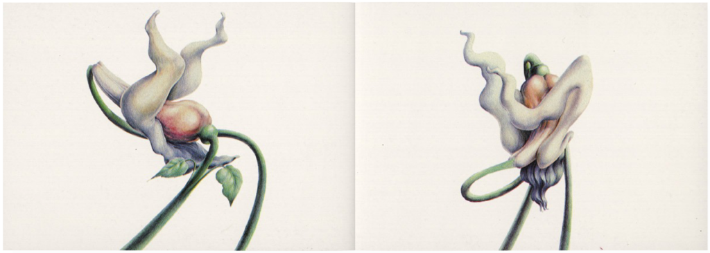 1982 The Wall Movie Gerald Scarfe Storyboards pg18-19