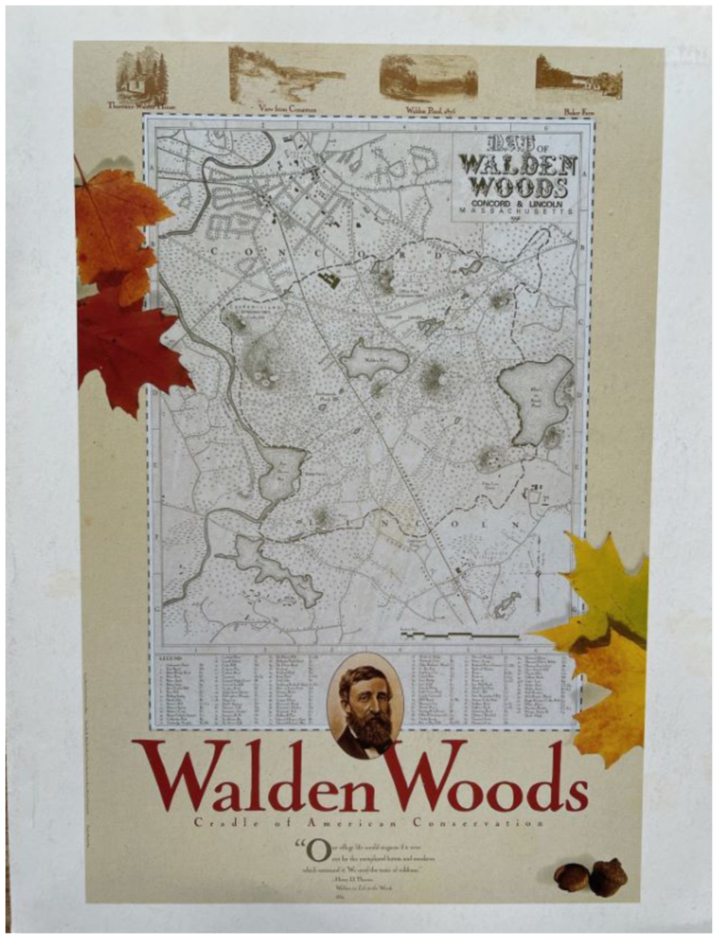 1992 Roger Waters Walden Woods Programme pg01