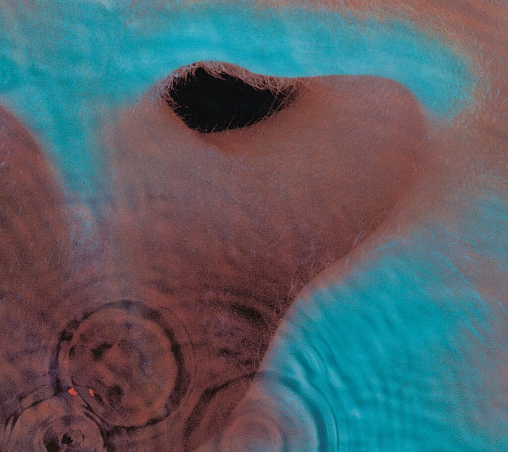 3 - Meddle - Front Cover